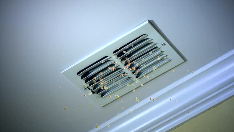 Best Home Air Vent Cleaning  in Lewisville, TX