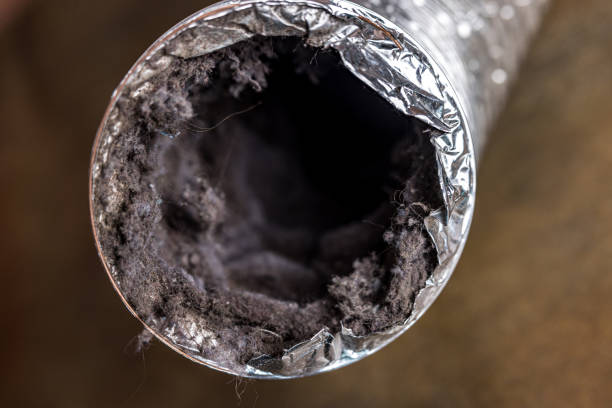 Best HVAC Air Duct Cleaning  in Lewisville, TX